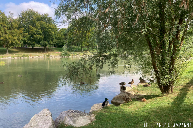 Parc Léo Lagrange Reims Plan d-eau et canards