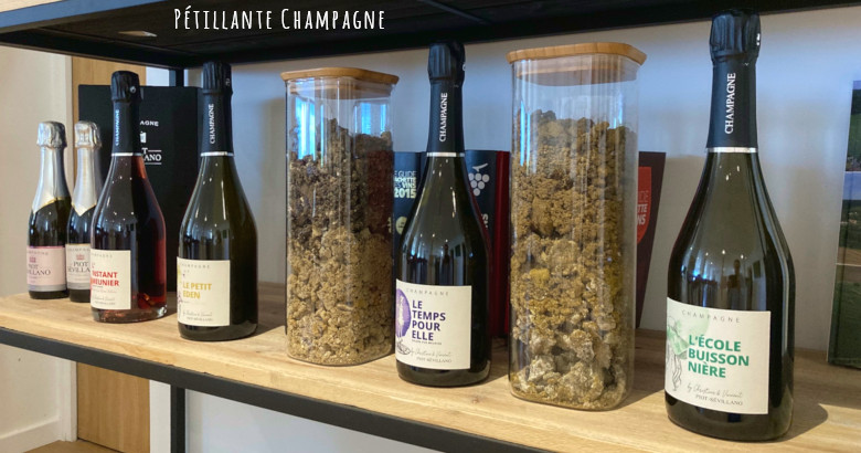 Champagne Piot-Sevillano nouvelles cuvées