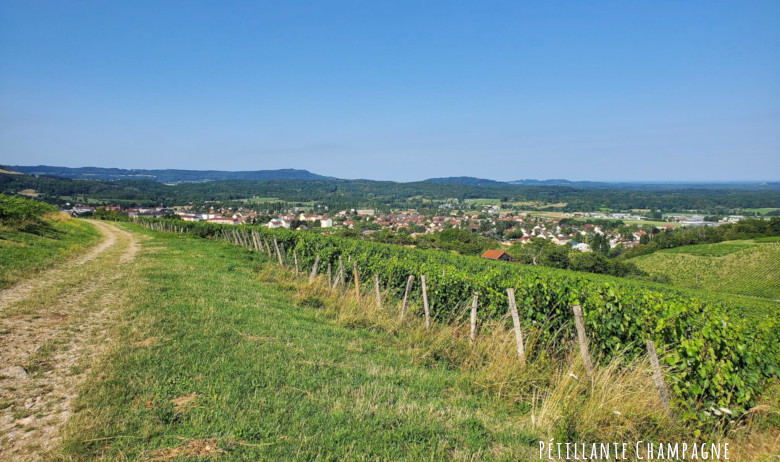 Jura Poligny vue sur les vignes