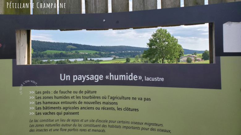 Lac de l'Abbaye un paysage humide