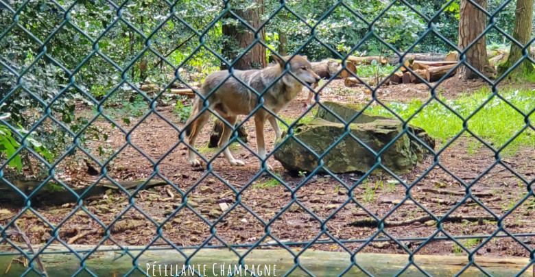 Parc Argonne Les Loups