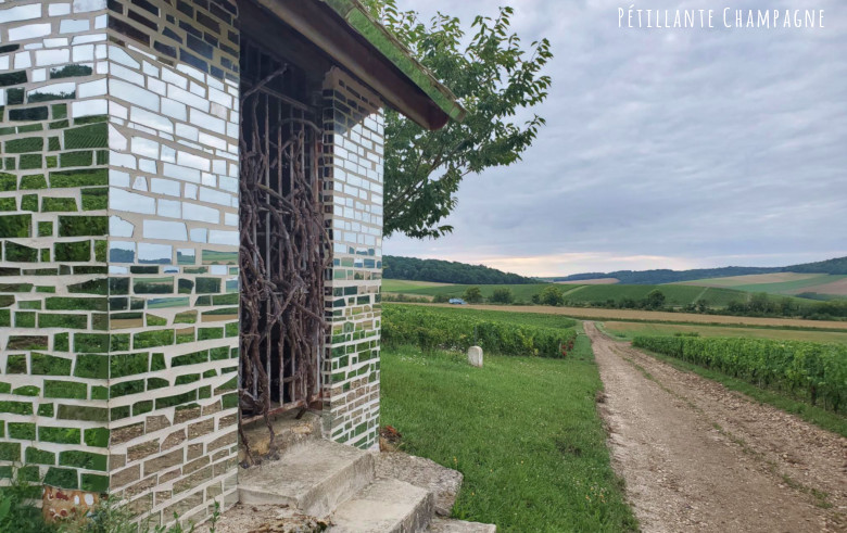 Balade Avenay Loge de vignes