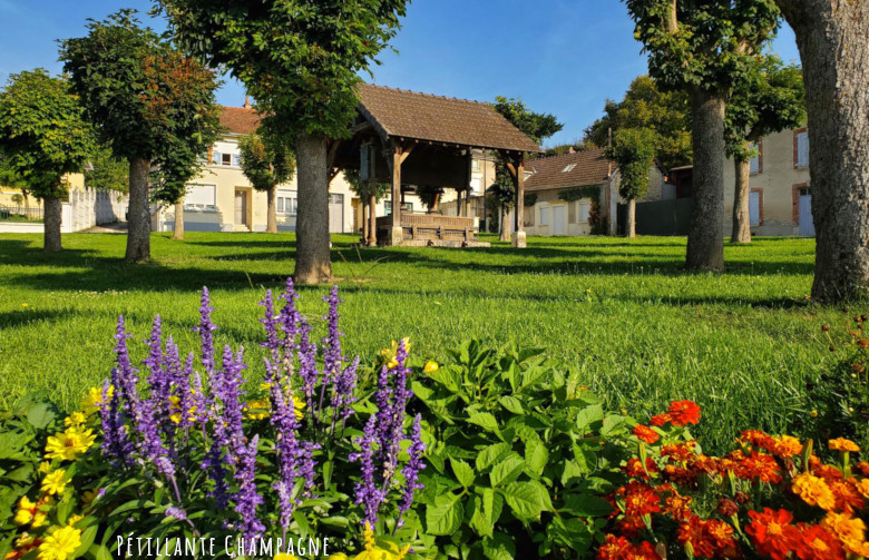 Balade Avenay Pressoir fleuri