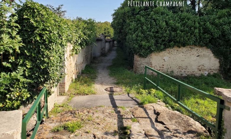Balade Avenay petits chemins