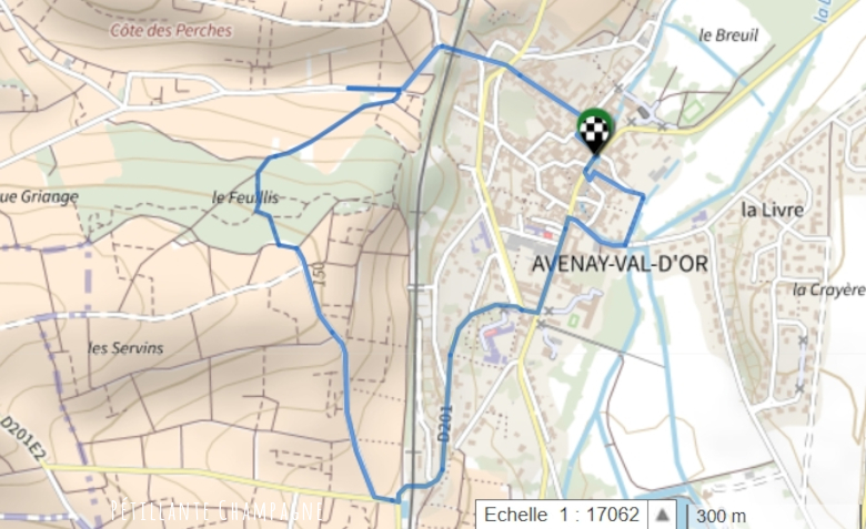 IGN Rando Avenay Par la forêt